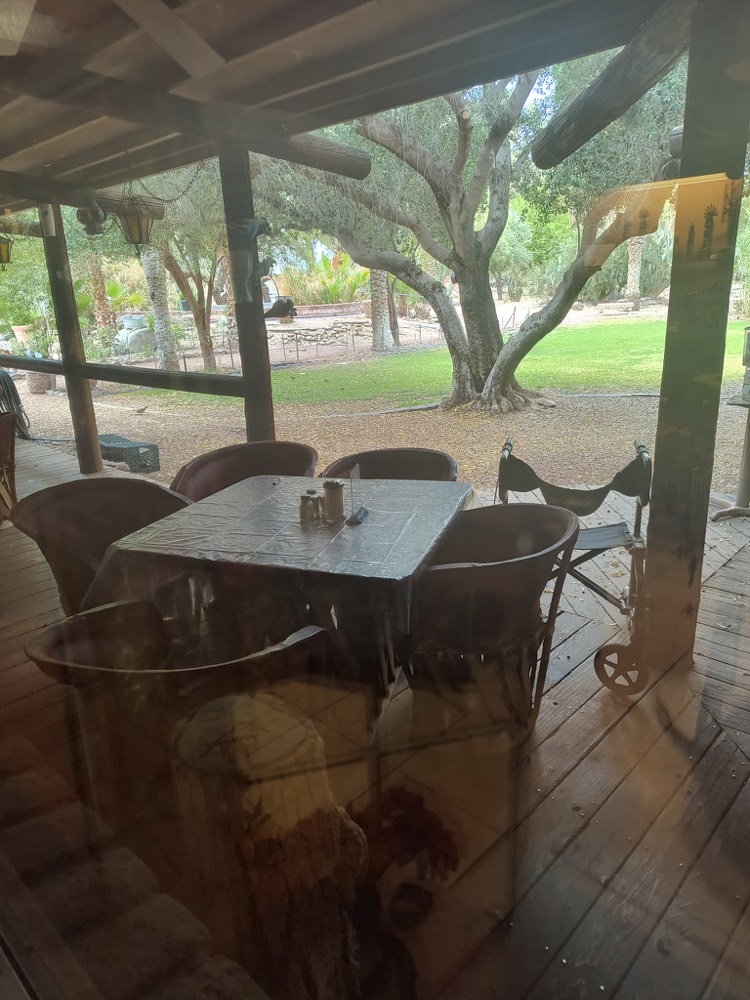 The shaded patio at Luchia’s overlooking the garden